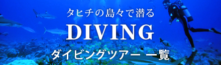 タヒチダイビング料金