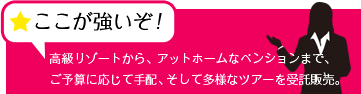 高級リゾートから、アットホームなペンションまで、ご予算に応じて手配、そして多様なツアーを受託販売。